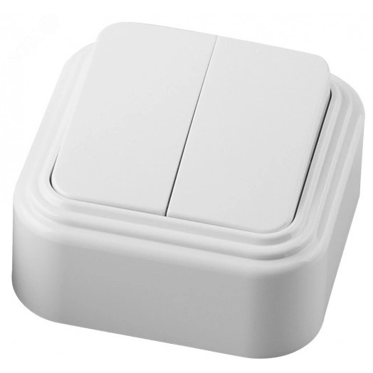 Выключатель двухклавишный открытой установки , 250В, 6А, IP20, белый, Stekker
