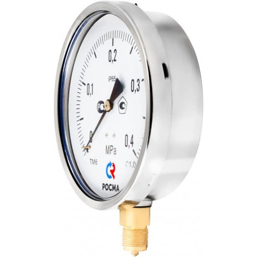 Манометр коррозионностойкий виброустойчивый радиальный ТМ-621Р.00 0...2.5 МРа М20х1.5 кл.т.1.0, готовый к гидрозаполнению