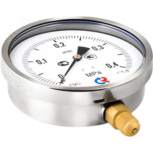 Манометр коррозионностойкий виброустойчивый радиальный ТМ-621Р.00 0...2.5 МРа М20х1.5 кл.т.1.0, готовый к гидрозаполнению