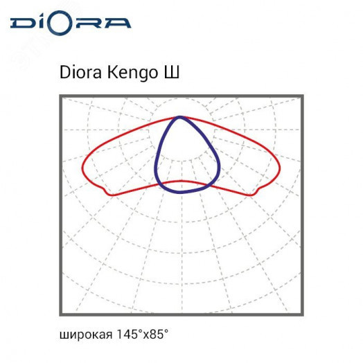 Diora Kengo SE 63/9000 ШБ 6K лира