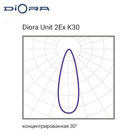 Diora Unit 2Ex 25/4000 К30 5K лира