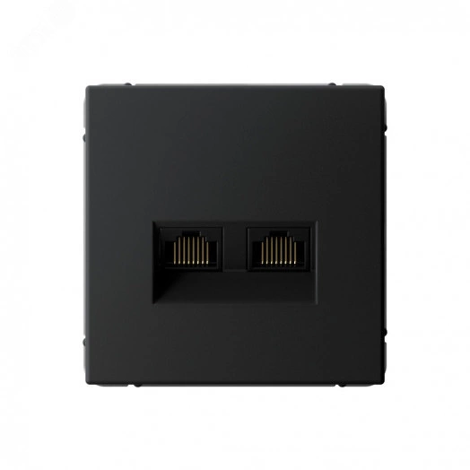 ARTGALLERY розетка двойная компьютерная RJ45+RJ45, кат.6А, механизм, карбон