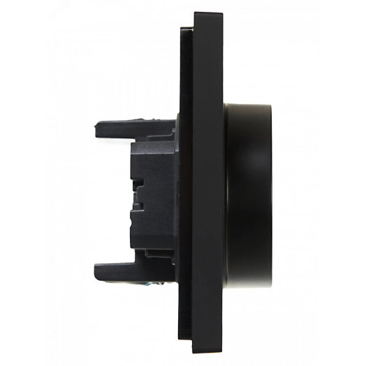 FORTE&PIANO Розетка 2-местная с заземлением с защитными шторками безвинтовое крепление 16А FP123 черный IEK