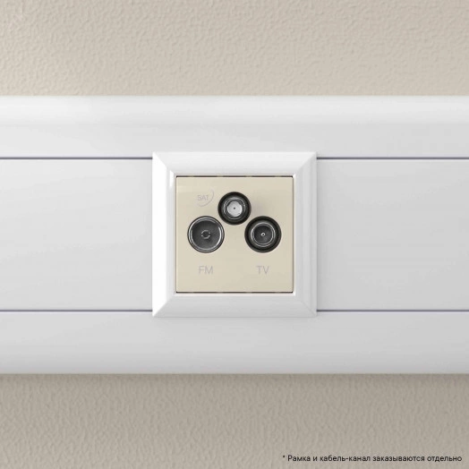 Avanti TV-FM-SAT ''Ванильная дымка'', 16A, 2 модульный