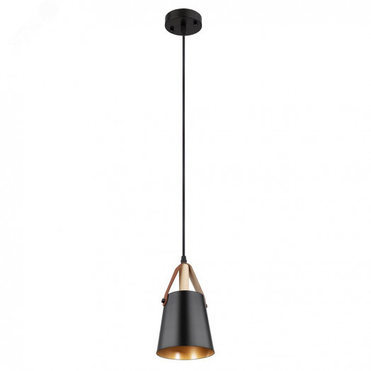 Светильник Подвесной Arte Lamp THOMAS A7032SP-1BK 1*E27 Металл Чёрный