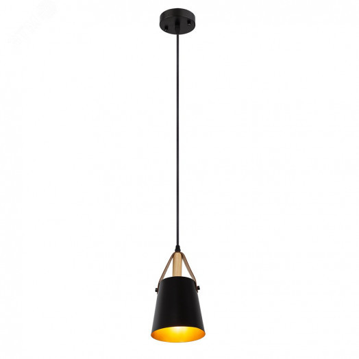 Светильник Подвесной Arte Lamp THOMAS A7032SP-1BK 1*E27 Металл Чёрный