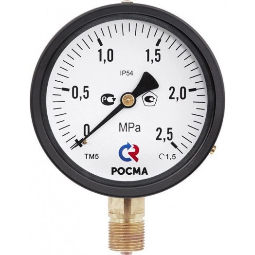 Манометр специального исполнения радиальный ТМ-610Р.00 0…25 М20х1.5 кл.1.5 IР54