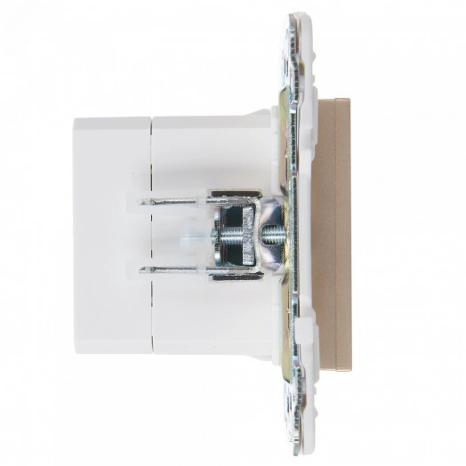 SKANDY Розетка USB A+C 3,1А SK-R14Sh шампань IEK