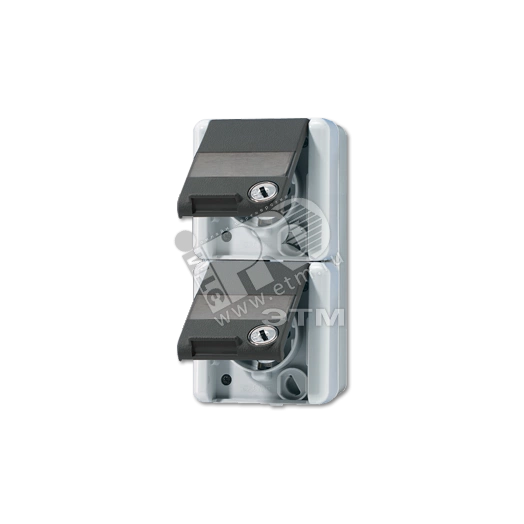 Розетка двойная SCHUKO 16A 250V с полем для надписи накладная IP44