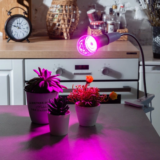 Лампа светодиодная для растений. LED-A60-15W/SPSB/E27/CL PLP30GR Форма A, прозрачная. Спектр для рассады и цветения. Картон. ТМ