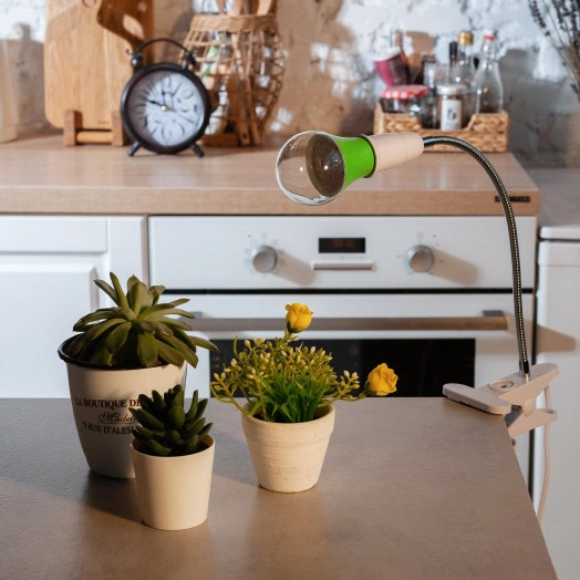 Лампа светодиодная для растений. LED-A60-15W/SPSB/E27/CL PLP30GR Форма A, прозрачная. Спектр для рассады и цветения. Картон. ТМ