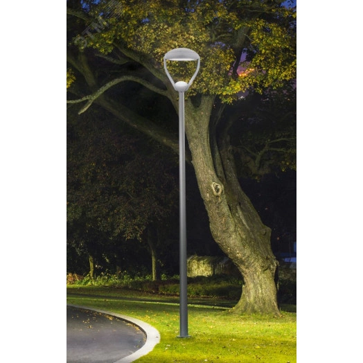 Светодиодный светильник Diora Meduza Park 40/6000 Д прозрачный 3K