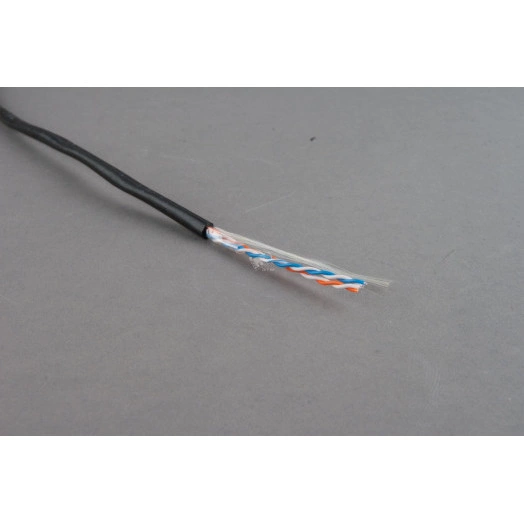 Витая пара U/UTP2 неэкранированная категория 5 2 пары 24 AWG одножильный черный (500м)