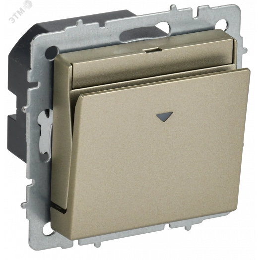 BRITE Выключатель карточный 30А ВС10-1-8-БрШ шампань IEK