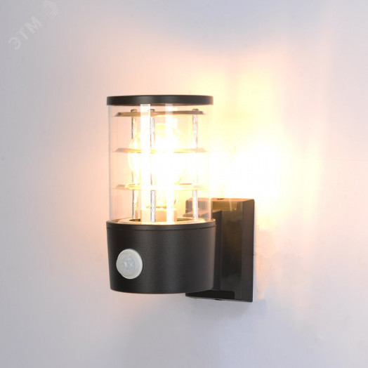 Светильник уличный настенный Arte Lamp TOKYO A5316AL-1BK 1*E27 Металл Прозрачный