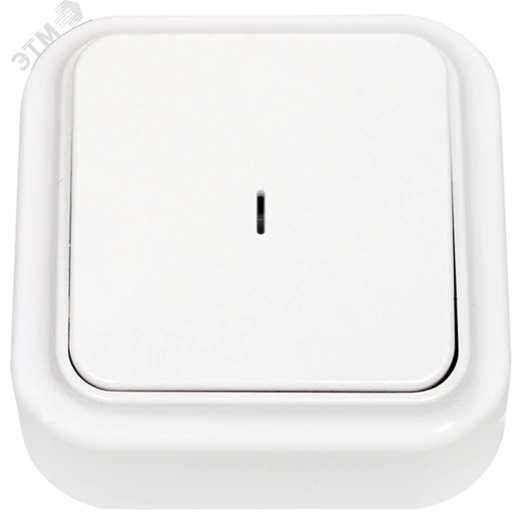 Беларусь Выключатель одноклавишный с индикатором наружный