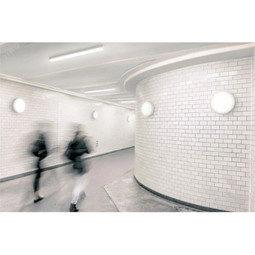 Светильник настенный ДБП 11 Вт 1100 Лм 4000K 120х120 грд 220-240 В IP65 D285х64 мм для ЖКХ Настенный светильник Ledinaire WL070V