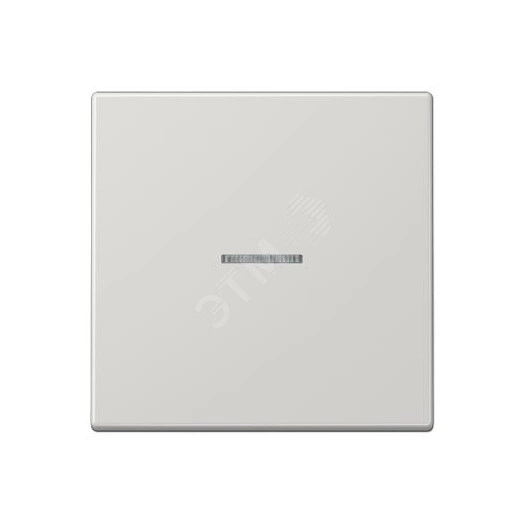 Клавиша 1-я для выключателей и кнопок  с окошком для подсветки. Серия LS990  Материал- дуропласт  Цвет- светло-серый