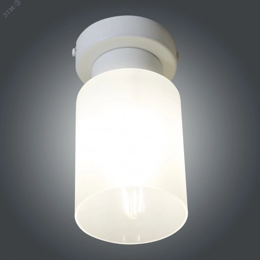 Светильник Крош 111 бел.муар (Плафон 8461) НПБ 01-60-104 Е27 ИУ