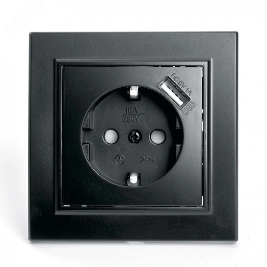 Розетка одноместная с/з с защитной шторкой и с USB, серия Эрна, черный, Stekker