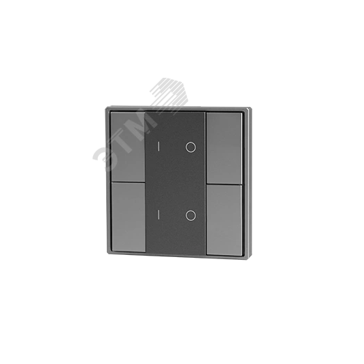 Кнопочная панель 4-х кл. (2 группы), пластиковый корпус, серый Вартон