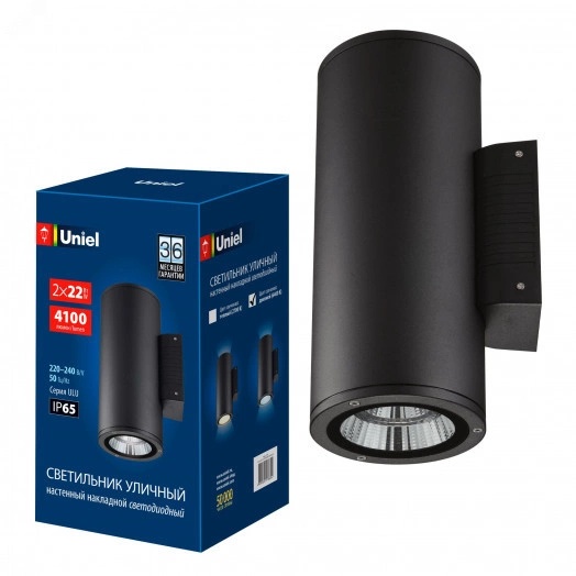 Светильник светодиодный уличный 2х22Вт Архитектурный накладной Дневной свет 6400K Корпус черный TM Uniel ULU-S22D-2x22W/6400K IP65 BLACK