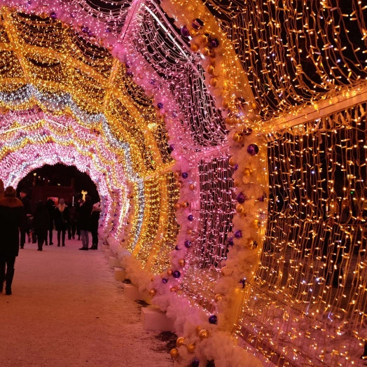 Гирлянда светодиодная декоративная ARD-STRING-CLASSIC-10000-WHITE-100LED-FLASH PINK (230V, 7W) (ARDCL, IP65)