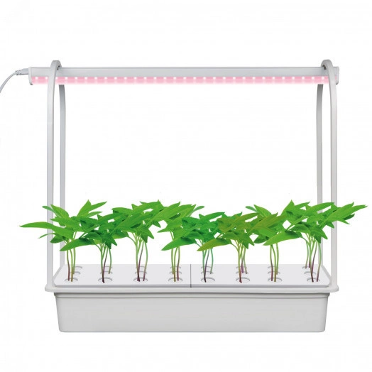 Набор для гидропоники ULT-P44D-10W/SPLE IP20 AQUA SIMPLE WHITE Минисад AQUA SIMPLE светильник для растений светодиодный с подставкой Спектр для фотосинтеза Белый TM