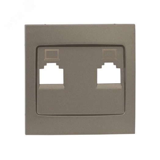 Валенсия лицевая панель розетки RJ-45 2-местная кашемир
