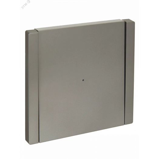 FORTE&PIANO Выключатель 1-клавишный проходной с индикацией 10А FP504 сталь IEK