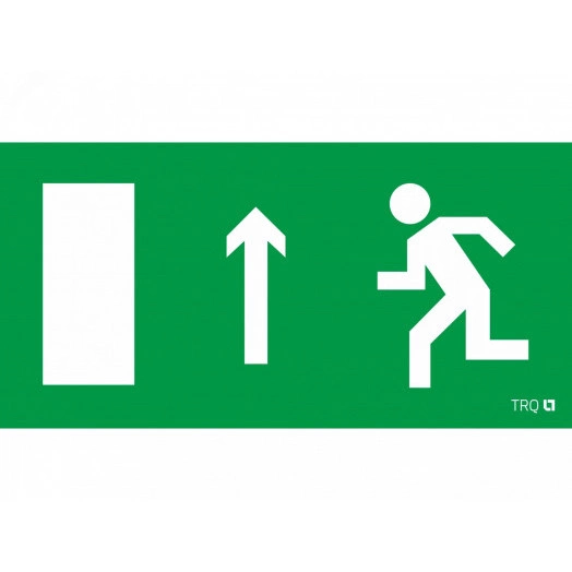 Пиктограмма ПЭУ 093 Выход прямо левосторонний (130х260)