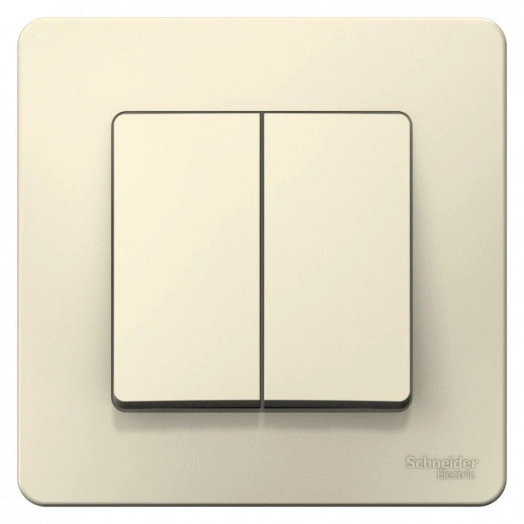 Выключатель BLANCA двухклавишный скрытой установки (схема 5) 6а 250в молочный