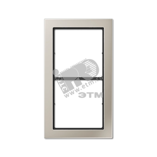 Рамка 2 поста благородная сталь