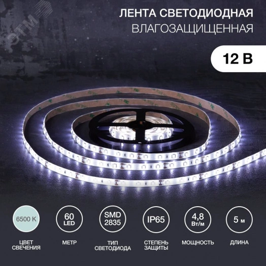 Лента LED 5 м 12 В 2835 6500 К IP65 60 LED/м для БП с клеммами LAMPER