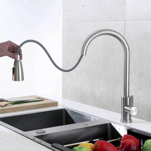 Смеситель для кухни TSB-123-001 с выдвижной лейкой тип См-МОЦБИвА