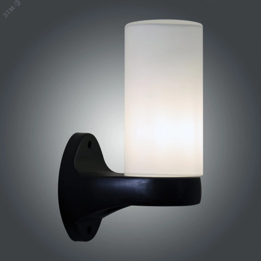 Светильник НБУ-06-60-02 Цилиндр1 опаловый матовый корпус черный ИУ