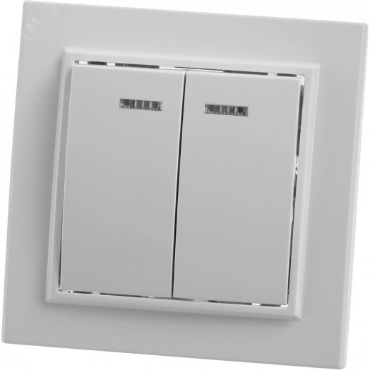 Выключатель 2-клавишный с индикатором, Эрна, белый,