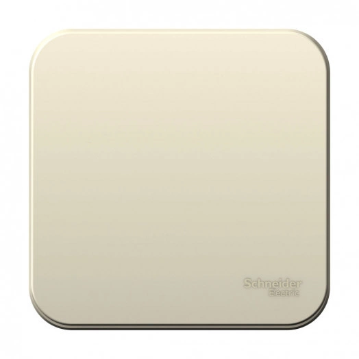 Выключатель одноклавишный наружный BLАNCА (cх.1) с самовозвратом, с изолирующей пластиной, 10А, молочный