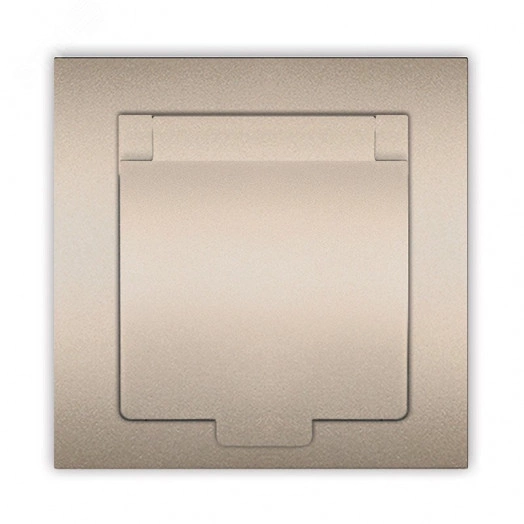 Розетка одноместная с крышкой UNIVersal серия Афинас/з, с/у, 16А, 220В, шампань (еврослот), механизм