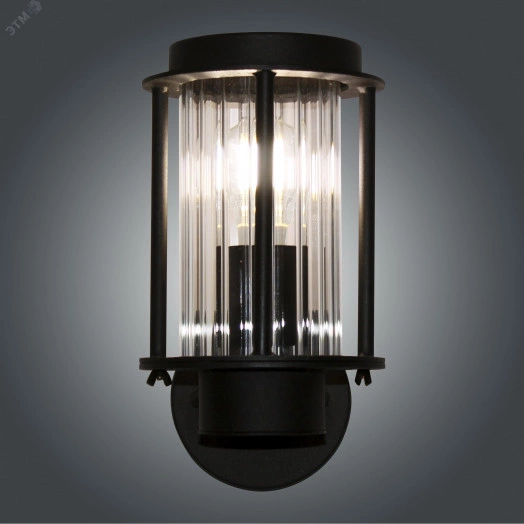 Светильник Эйри черн. НБУ 02-100-001  настенный