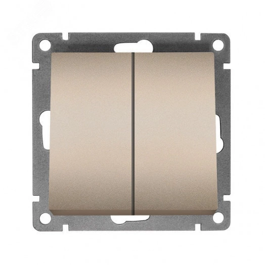 Выключатель двухклавишный UNIVersal серия Афина , с/у, 10А, 220В, шампань (еврослот), механизм