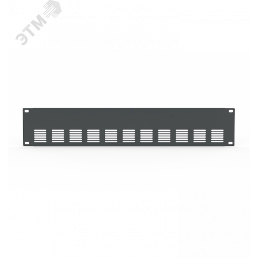 Фальшпанель в шкаф 19'' 2U SBP-002