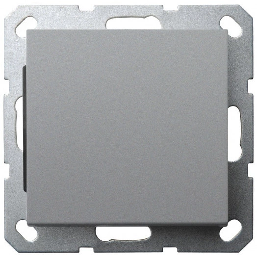 Выключатель одноклавишный 10A 250V~ с накладкой, цвет Алюминий