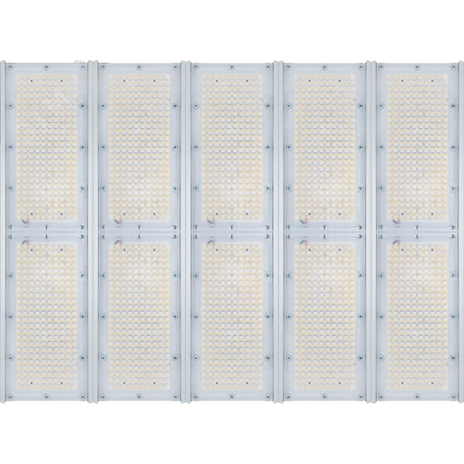 Diora Unit5 PRO 850/135000 К30 4K лира