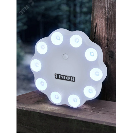 Фонарик карманный подвесной на батарейках 3xAAA, с кронштейном TK10 Кемпинг Трофи