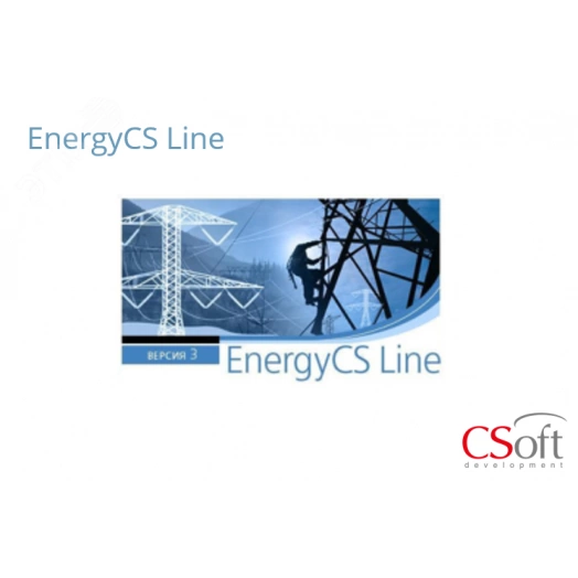 Право на использование программного обеспечения EnergyCS Line (3.x, сетевая лицензия, серверная часть (1 год))