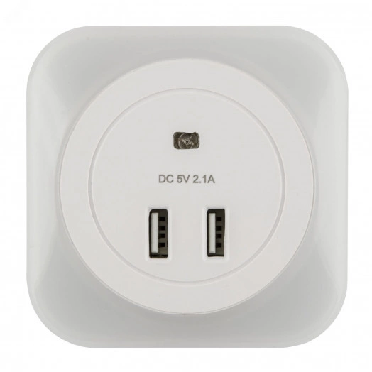 Светильник ночник с фотосенсором (день-ночь) DTL-321 2USB Белый ТМ