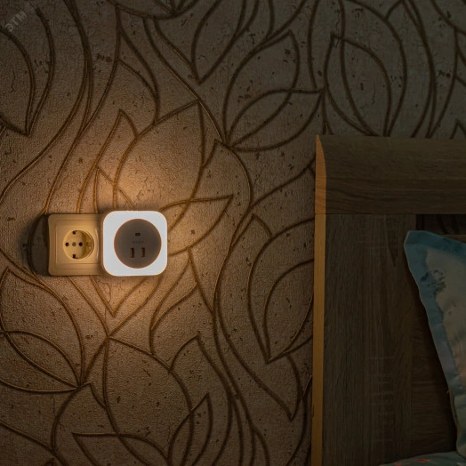 Светильник ночник с фотосенсором (день-ночь) DTL-321 2USB Белый ТМ