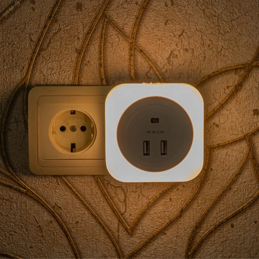 Светильник ночник с фотосенсором (день-ночь) DTL-321 2USB Белый ТМ