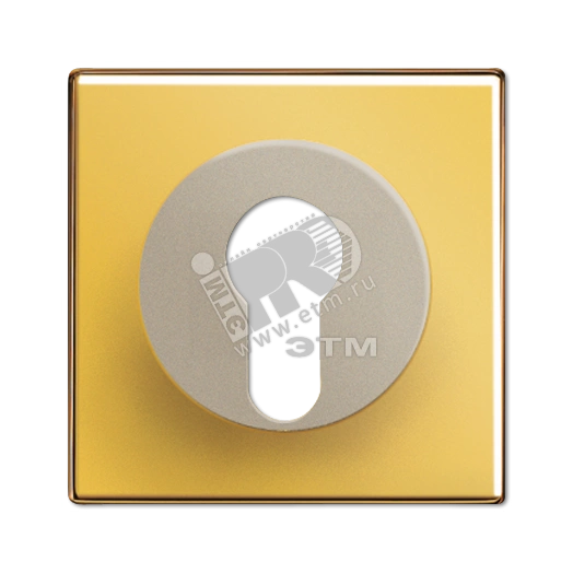 Крышка к выключателю для замочного механизма  металл цвета золота